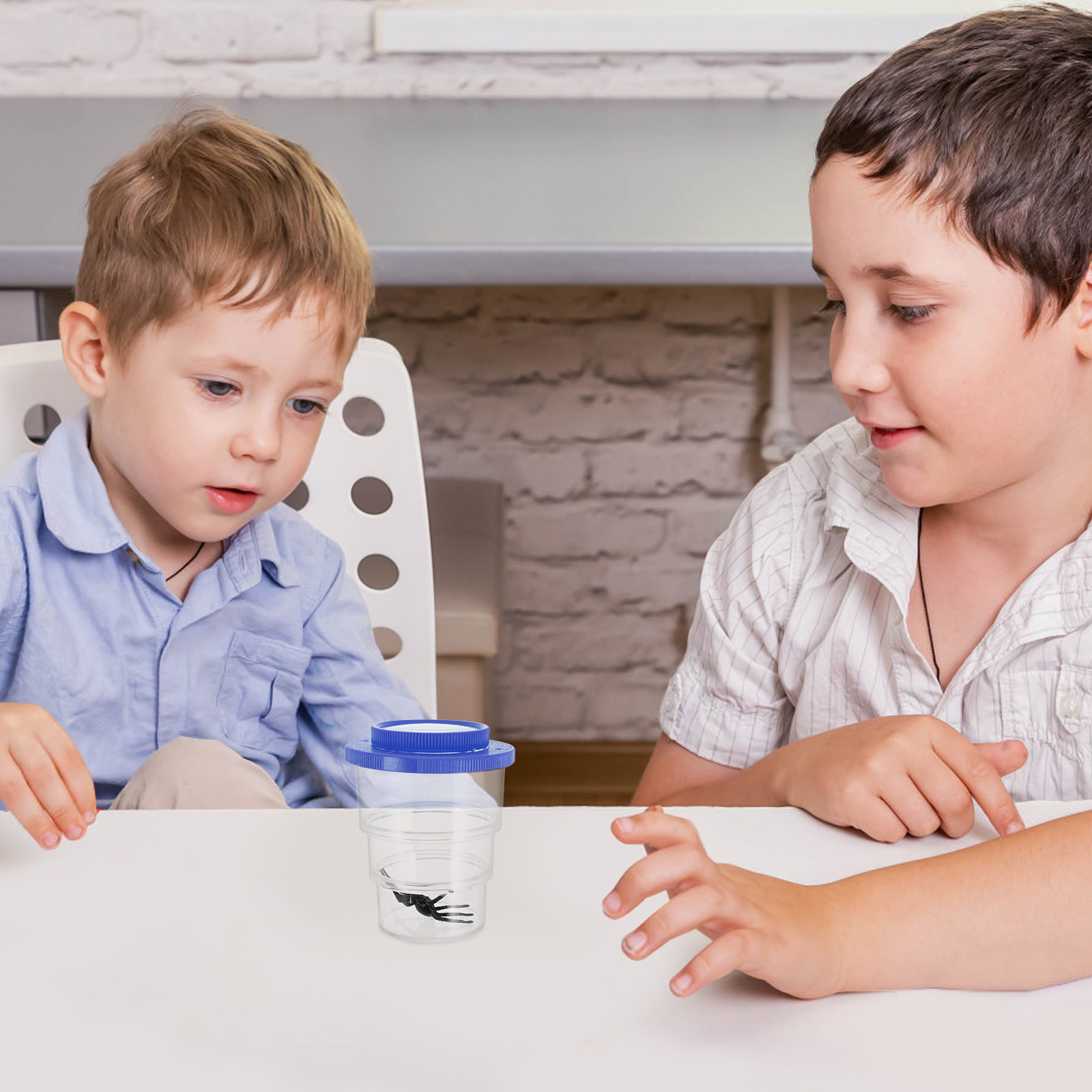 Трехсекционный набор для наблю – обзор и цена Kids Toys Learning